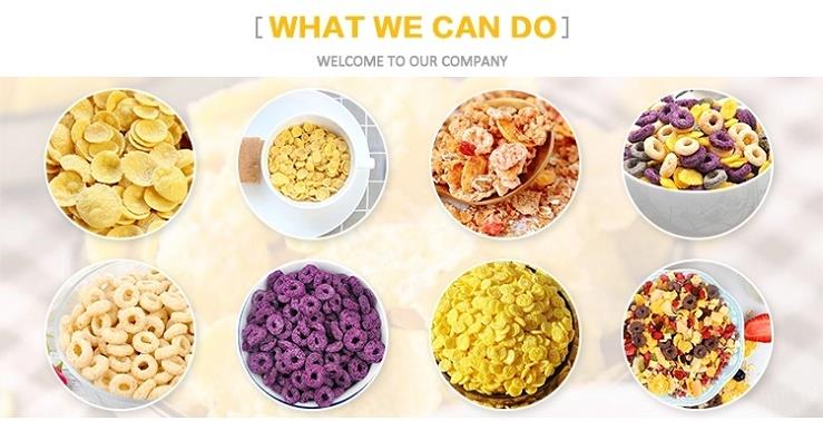 Snack Food Extuder