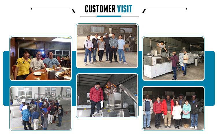 Corn Flakes Manufacturing Plant