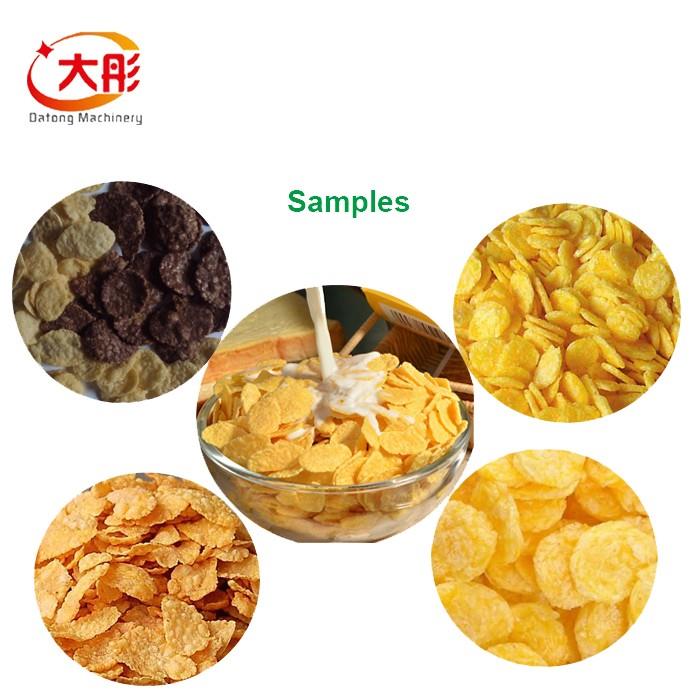Corn Flakes Manufacturing Plant